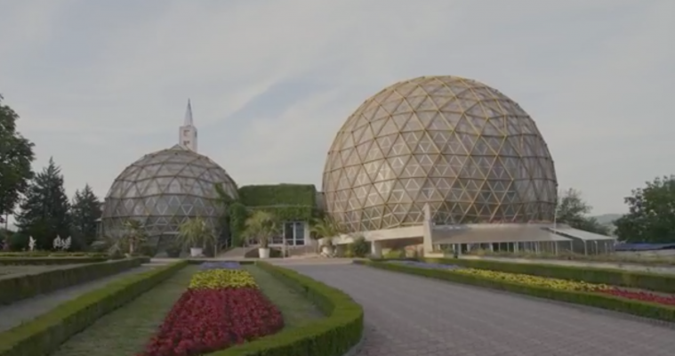 EC Live Session @ The Botanical Garden